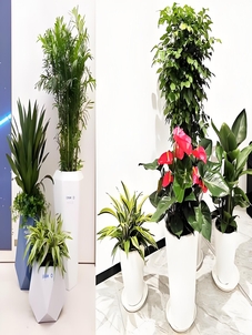 北仑绿化养护价格是多少?这里有答案!><div class=